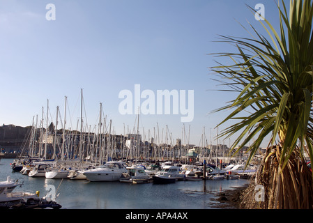 Yachts in Queen Anne's Battery Marina with the Citadel in the background, Plymouth Stock Photo