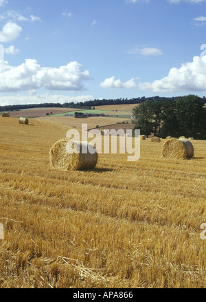 dh Circular bales FARMLAND UK Scotland hay stubble fife in harvested field and farm scenic scottish harvest harvesting arable land uk straw Stock Photo