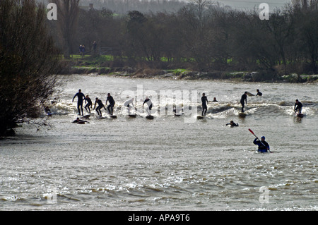 Surfers riding the Severn Bore at Minsterworth in Gloucestershire England Stock Photo