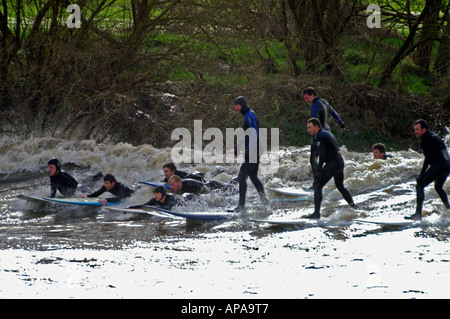 Group of Surfers riding the Severn Bore at Minsterworth in Gloucestershire England Stock Photo