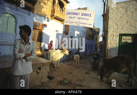 Street scene from the Jaisalmer Fort, India: Cows on an unpaved road alongside an internet café Stock Photo