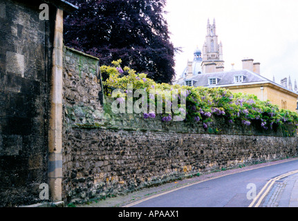 All Souls College Hawksmoor Tower and The Radcliffe Camera from Queens Lane Stock Photo