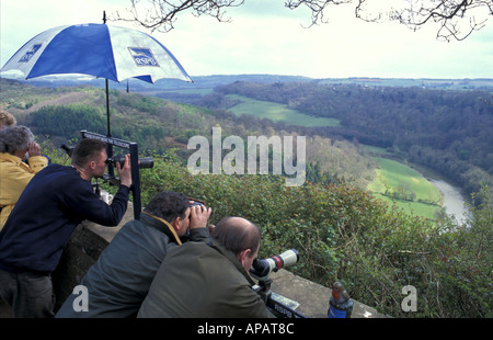 People watching Peregrine Falcons nest at Symonds Yat observation point at the RSPB on the river Wye Gwent Wales Stock Photo