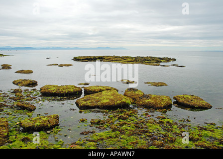 Tranquil atmosphere on Vancouver Island shore Stock Photo