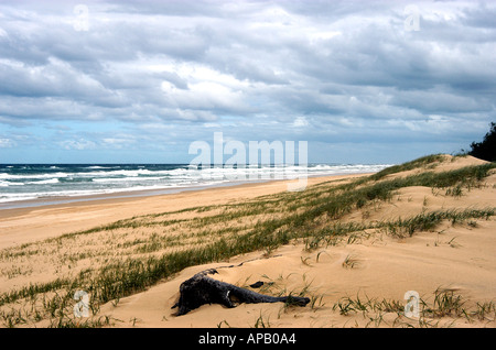 sand dunes on the beach at Fraser Island Queensland Australia  Stock Photo