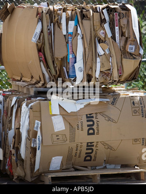 Cardboard ready to be recycled Stock Photo