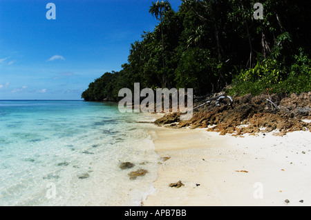 Tropical Beach in Indonesia Stock Photo