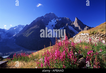 The south face of Mont Blanc from the Tour of Mont Blanc Italian Alps Italy Stock Photo