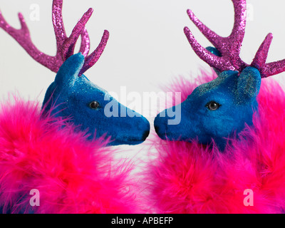 two reindeers Stock Photo