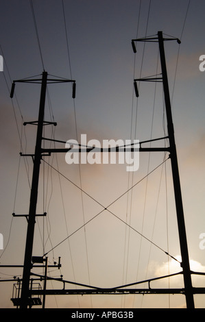 Color vertical image of some telephone poles and wires silhouetted against a hazy sky Stock Photo