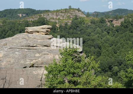 Red river gorge kentucky courthouse rock cliff sandstone erosion daniel boone national forest Appalachian Mountains foothills G Stock Photo