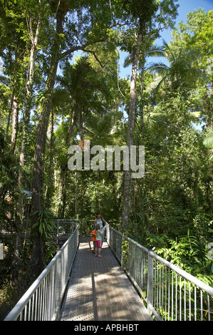 Tourists On Aerial Walkway At The Daintree Rainforest Discovery Centre ...