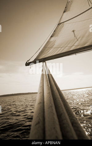 extreme angle of main sheet or rope on main sail on sail boat sepia tone vertical shapes journey Stock Photo