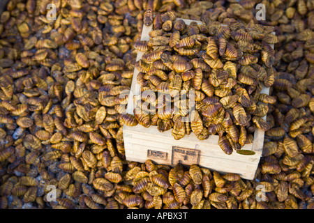 Korean Street Food Boiled Silkwork Larvae or Beondegi Namdaemun Market Seoul South Korea Stock Photo