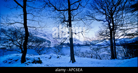 blue winter trees in snow panoramic ullswater lake district cumbria england uk Stock Photo