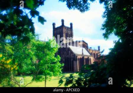 chester city cathedral framed trees summer cheshire england uk Stock Photo