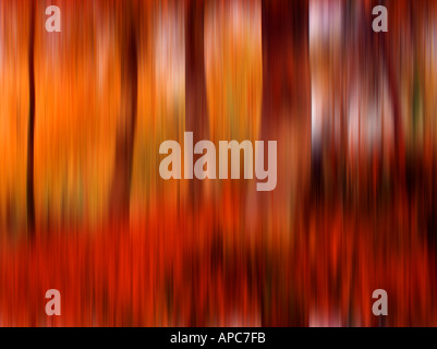 blur,motion,special,effect,tree,colour,speed,concept, panning, nature, abstract, illustration, idea, painterly, artistic, arty, Stock Photo