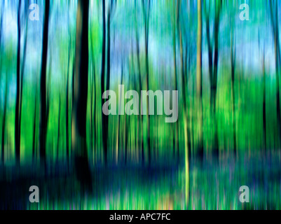 blur,motion,special,effect,tree,colour,speed,concept, panning, nature, abstract, illustration, idea, painterly, artistic, arty, Stock Photo