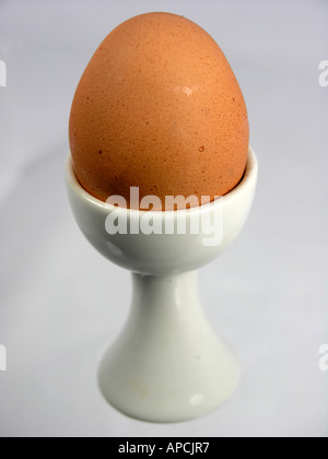 Single brown egg in a white egg cup Stock Photo