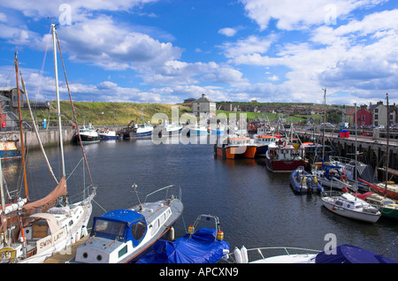 Boats in Eyemouth Harbour Scottish Borders Stock Photo