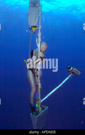 Tanya Streeter breaking the No Limits sled free dive record in the Turks Caicos Islands 2002 Stock Photo