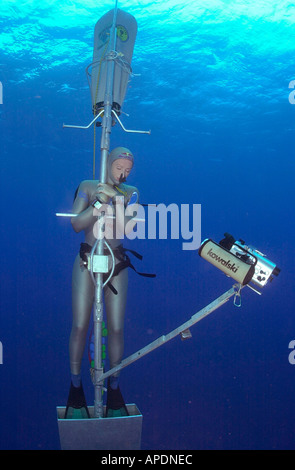 Tanya Streeter breaking the No Limits sled free dive record in the Turks Caicos Islands 2002 Stock Photo