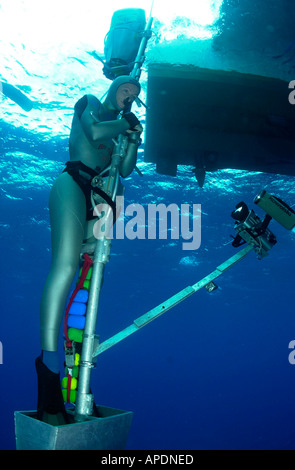 Tanya Streeter breaking the No Limits sled free dive record in the Turks Caicos Islands 2002 Stock Photo