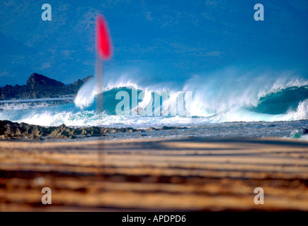 Body boarding in dangerous conditions, North Shore, Hawaii, USA, Stock Photo