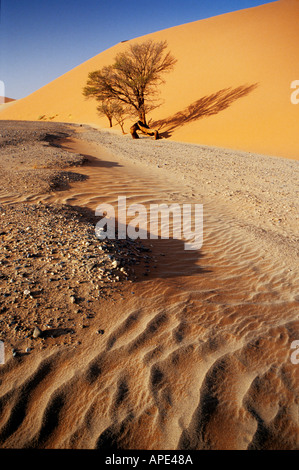 Dune 45 in Sossusvlei, Namibia desert Stock Photo - Alamy