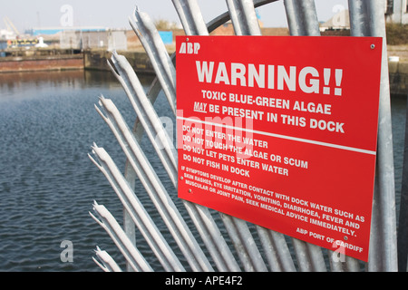 Warning sign for toxic blue green algae in Cardiff Bay docks Cardiff South Wales UK Stock Photo