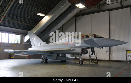 Eurofighter Typhoon in hanger undergoing maintenance Stock Photo