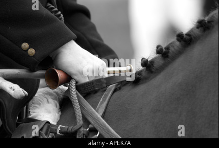 Fox hunting, huntsman Stock Photo