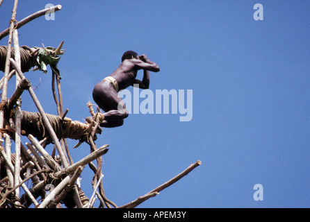 Pacific Ocean, Vanuatu, Pentecost Island, Native Islander jumping off platform Stock Photo