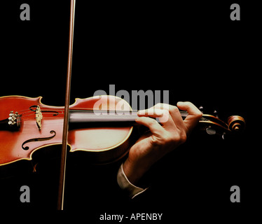 Violin. Stock Photo