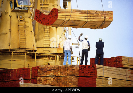 Black men construction workers wearing hard hats, standing on top of wood piles directing large yellow crane lifting  wood pile. Stock Photo