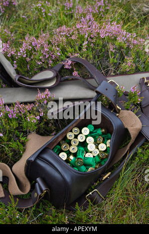 Leather Cartridge Bag Filled with 12 Gauge Shotgun Shells and Gun Cases Sitting in Heather Stock Photo