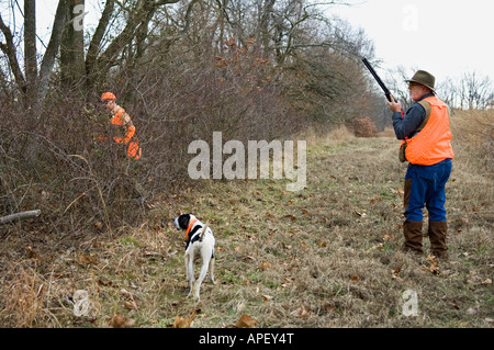 Upland Bird Hunter English Pointer on Point and Guide Attempting to Flush Birds Deer Creek Lodge Webster County Kentucky Stock Photo