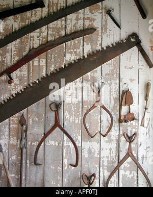 Rusted old fashioned metal farm tools hanging on wall. Stock Photo