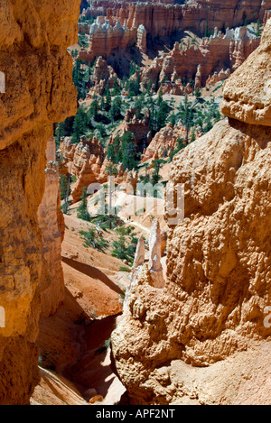 USA Utah Bryce Canyon Natational Park Trail ride of horses ascend to ...