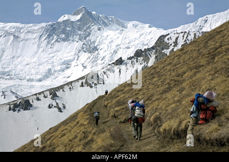 Porters on the way to Tilicho Lake. Annapurna circuit trek. Nepal Stock Photo
