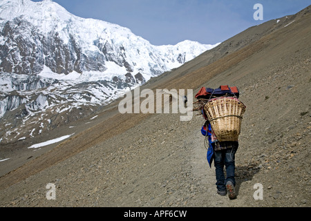 Porter on the way to Tilicho Lake. Annapurna circuit trek. Nepal Stock Photo