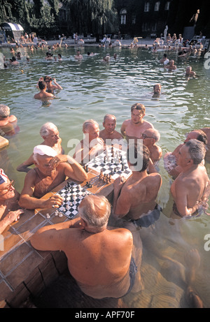 Budapest Hungary Chess Players in Szechenyi Baths Stock Photo