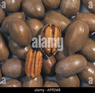 Pecan nuts in shells with two opened to show the edible nut Stock Photo