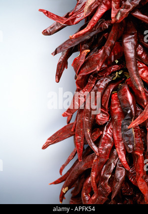 Dried chillies hanging on pale blue background Stock Photo