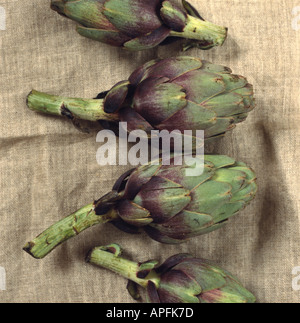 Artichokes on natural cloth Stock Photo