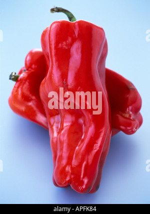 Whole red peppers on pale blue background Stock Photo