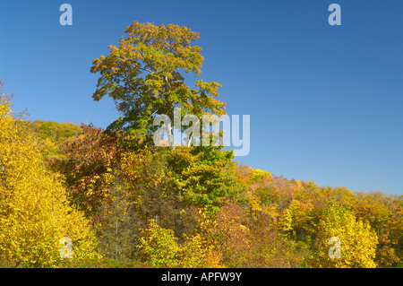 A view from Cherohala Skyway in late October at the peak of the Autumn leaf color season. Vertical view is also available. Stock Photo