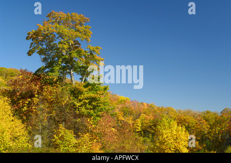 A view from Cherohala Skyway in late October at the peak of the Autumn leaf color season. Vertical view is also available. Stock Photo