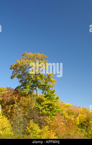 A view from Cherohala Skyway in late October at the peak of the Autumn leaf color season. Horizontal view is also available. Stock Photo