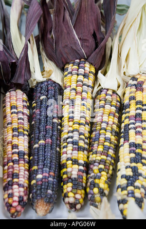 Entries into an agricultural competition at the Utah State Fair in Salt Lake City, Utah, USA. Many ribbons were awarded. Stock Photo